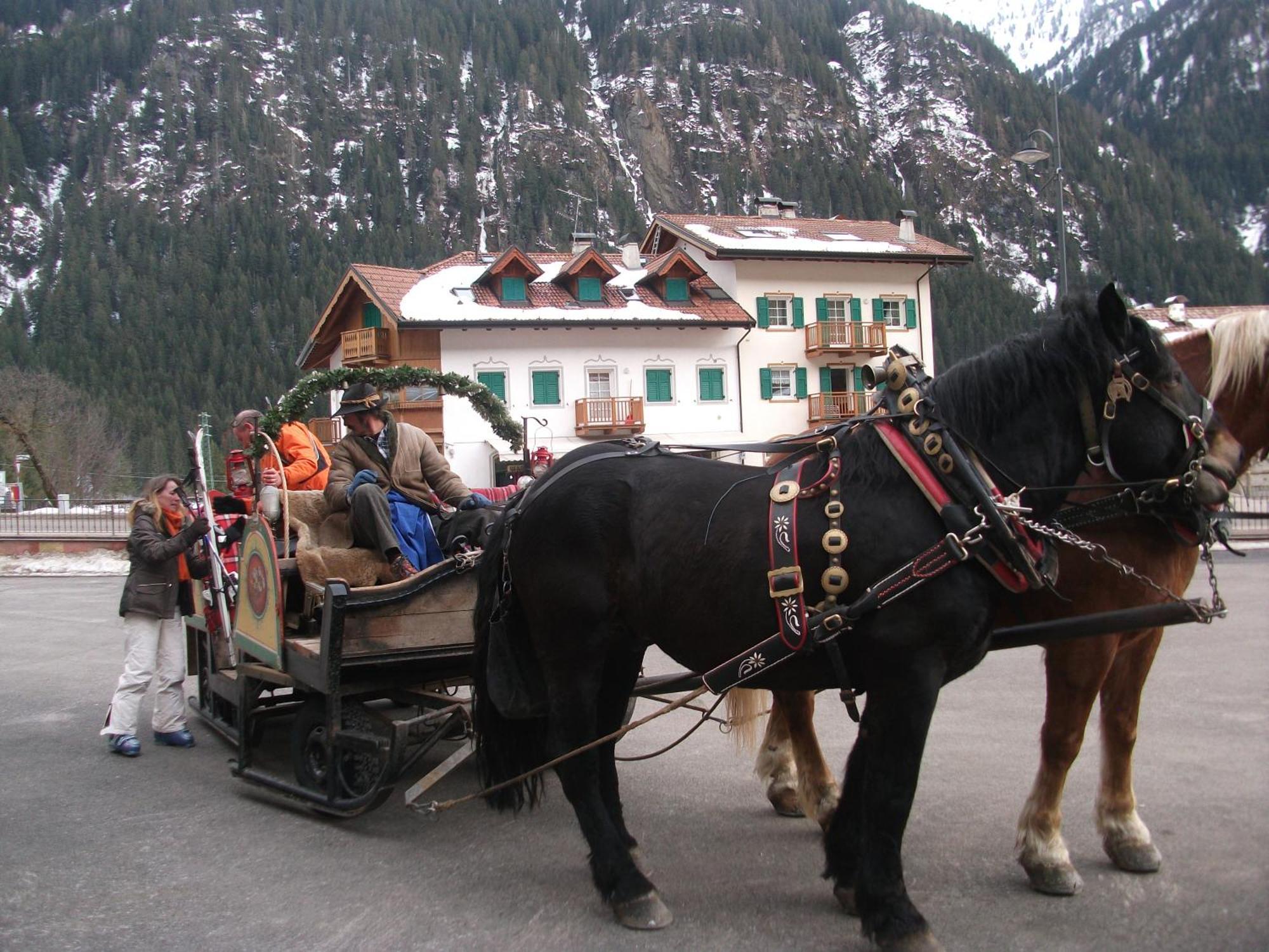 Hotel Ciamol Campitello di Fassa Bagian luar foto